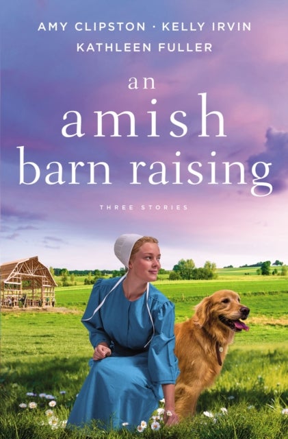An Amish Barn Raising - Three Stories