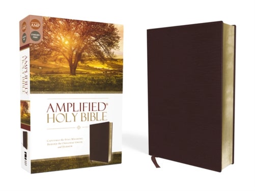 Amplified Holy Bible, Bonded Leather, Burgundy - Captures the Full Meaning Behind the Original Greek and Hebrew