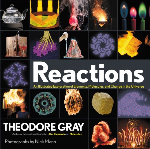 Reactions - An Illustrated Exploration of Elements, Molecules, and Change in the Universe