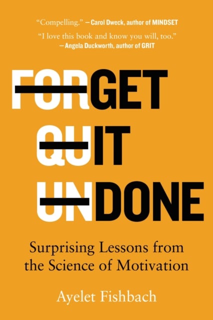 Get It Done - Surprising Lessons from the Science of Motivation