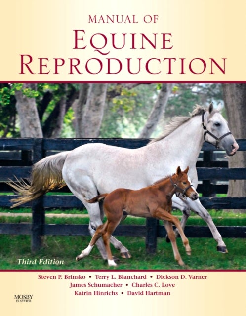 Bilde av Manual Of Equine Reproduction Av Steven P. (college Of Veterinary Medicine Texas A &amp; M University College Station Tx) Brinsko, Terry L. (college O