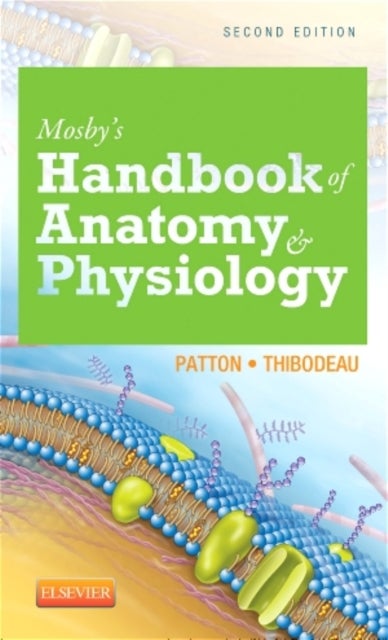 Bilde av Mosby&#039;s Handbook Of Anatomy &amp; Physiology Av Kevin T. Phd (professor Emeritus Life Sciences St. Charles Community College Cottleville Mo Profe