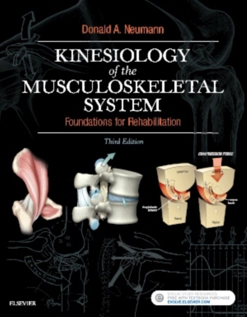 Bilde av Kinesiology Of The Musculoskeletal System Av Donald A. Pt Ph.d. Fapta (professor Department Of Physical Therapy And Exercise Science College Of Health