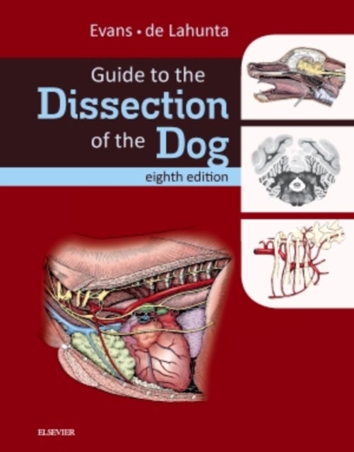 Bilde av Guide To The Dissection Of The Dog Av Howard E. Phd (professor Emeritus Of Veterinary And Comparative Anatomy New York State College Of Veterinary Med