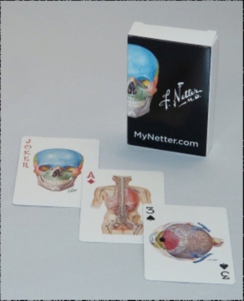 Netter Playing Cards - Netter's Anatomy Art Card Deck (Single Pack)
