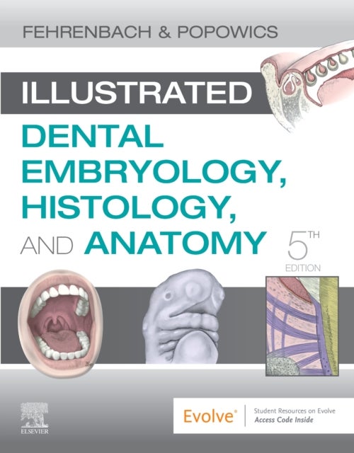 Bilde av Illustrated Dental Embryology, Histology, And Anatomy Av Margaret J. (dental Hygiene Educational Consultant Oral Biology Technical Writer Adjunct Facu
