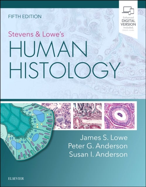 Bilde av Stevens &amp; Lowe&#039;s Human Histology Av James S. (emeritus Professor Of Neuropathology University Of Nottingham Medical School Nottingham Uk. For