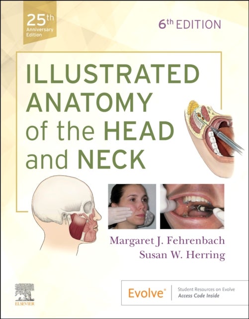 Bilde av Illustrated Anatomy Of The Head And Neck Av Margaret J. (dental Hygiene Educational Consultant Oral Biology Technical Writer Adjunct Faculty Seattle C