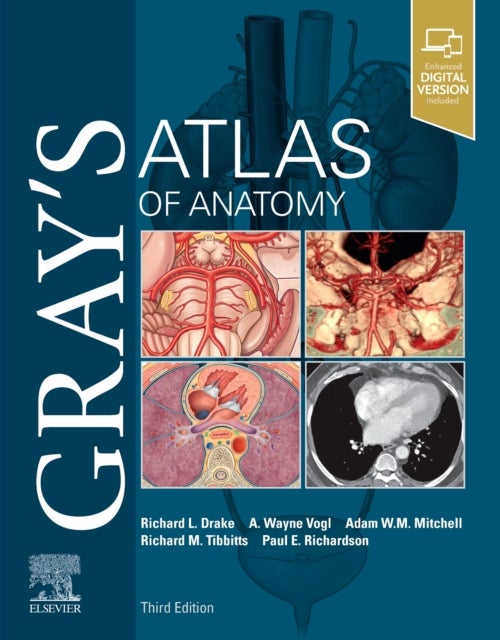 Bilde av Gray&#039;s Atlas Of Anatomy Av Richard Phd Faaa Dr. Drake, A. Wayne Vogl, Mi
