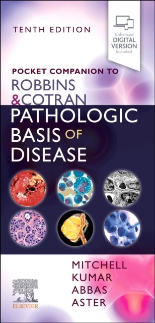 Bilde av Pocket Companion To Robbins &amp; Cotran Pathologic Basis Of Disease Av Vinay (professor And Chairman Department Of Pathology University Of Chicago Pr