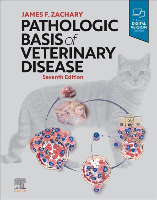 Bilde av Pathologic Basis Of Veterinary Disease Av James F. Dvm Phd (diplomate American Colllege Of Veterinary Pathologists Zachary, Department Of Pathobiology