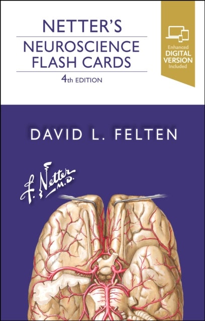 Bilde av Netter&#039;s Neuroscience Flash Cards Av David L. (associate Dean Of Clinical Sciences University Of Medicine And Health New York New York) Felten