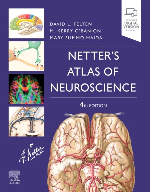 Bilde av Netter&#039;s Atlas Of Neuroscience Av David L. (associate Dean Of Clinical Sciences University Of Medicine And Health New York New York) Felten, Mich