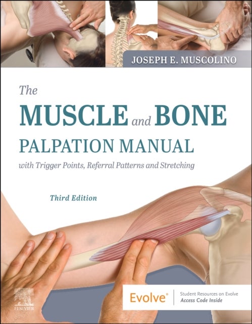 Bilde av The Muscle And Bone Palpation Manual With Trigger Points, Referral Patterns And Stretching Av Joseph E. (instructor Purchase College State University