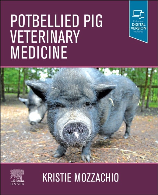Bilde av Potbellied Pig Veterinary Medicine Av Kristie Mozzachio