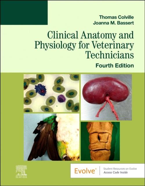 Bilde av Clinical Anatomy And Physiology For Veterinary Technicians Av Thomas P. (professor Emeritus &lt;br&gt;department Of Animal Sciences &lt;br&gt;north Da