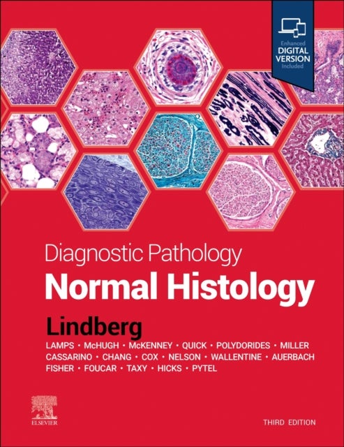 Bilde av Diagnostic Pathology: Normal Histology Av Matthew R. (director Soft Tissue Pathology Division Associate Professor Of Pathology University Of Arkansas