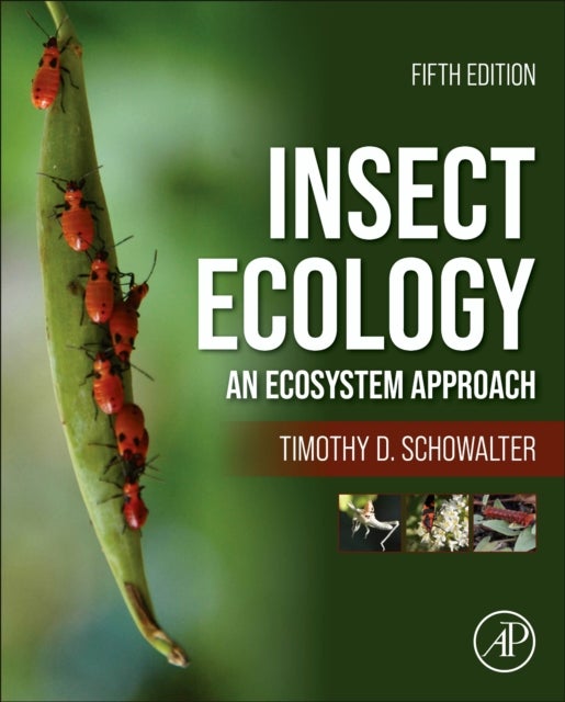 Bilde av Insect Ecology Av Timothy D. (professor Of Entomology Louisiana State University Baton Rouge Louisiana Usa) Schowalter