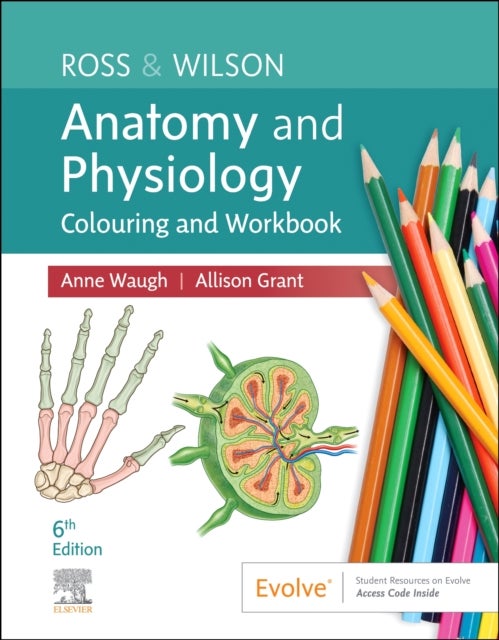 Bilde av Ross &amp; Wilson Anatomy And Physiology Colouring And Workbook Av Anne (school Of Acute And Continuing Care Nursing Napier University Edinburgh Uk) W