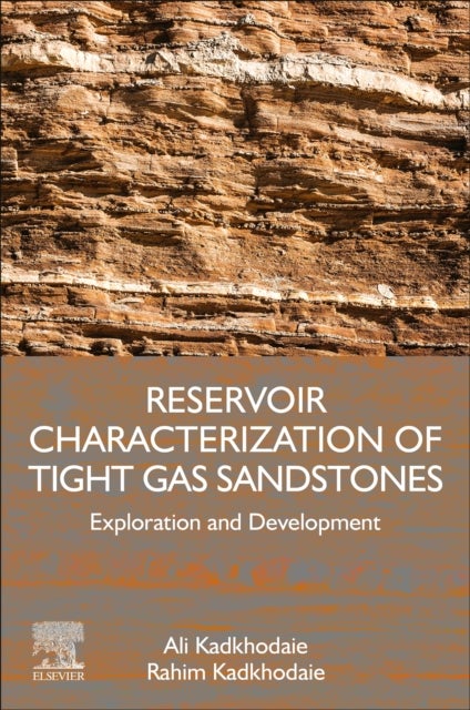 Reservoir Characterization of Tight Gas Sandstones - Exploration and Development