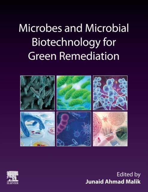 Bilde av Microbes And Microbial Biotechnology For Green Remediation