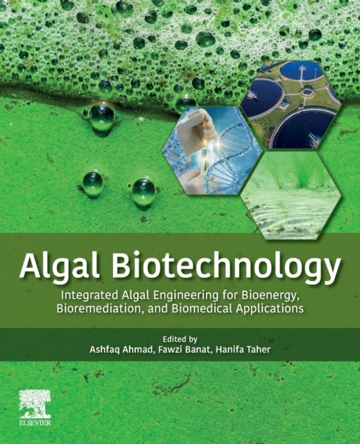 Bilde av Algal Biotechnology