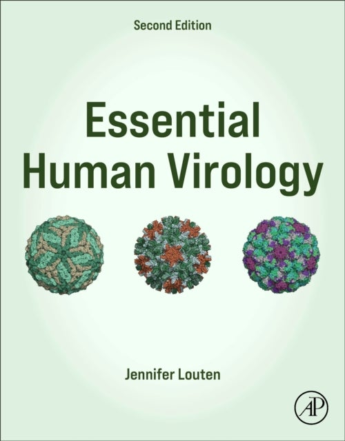 Bilde av Essential Human Virology Av Jennifer (professor Of Biology Louten, Scholars In Stem Program Director, Advanced Majors Program Kennesaw State Universit