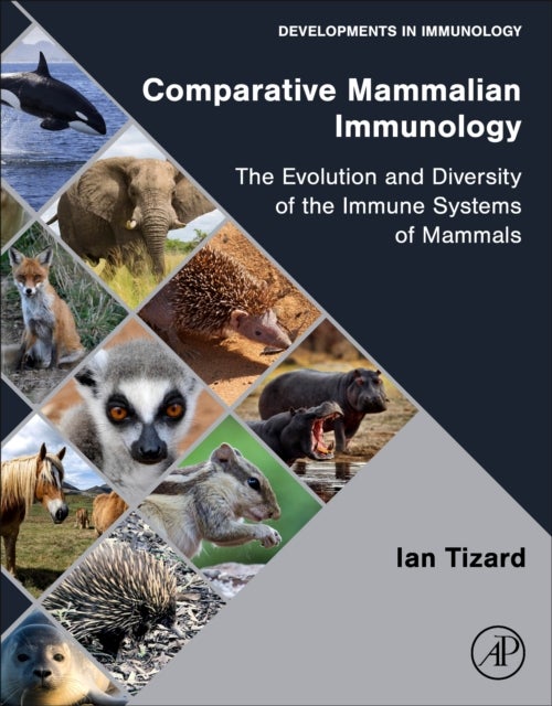Bilde av Comparative Mammalian Immunology Av Ian R (texas A &amp;m University College Station Texas Usa) Tizard