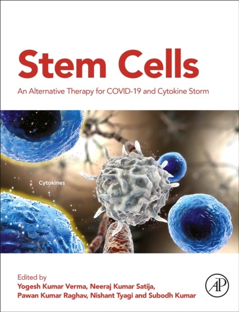 Bilde av Stem Cells