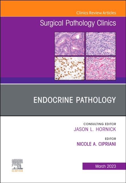 Bilde av Endocrine Pathology, An Issue Of Surgical Pathology Clinics
