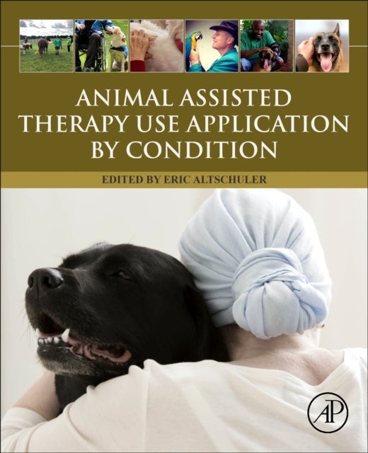 Bilde av Animal Assisted Therapy Use Application By Condition