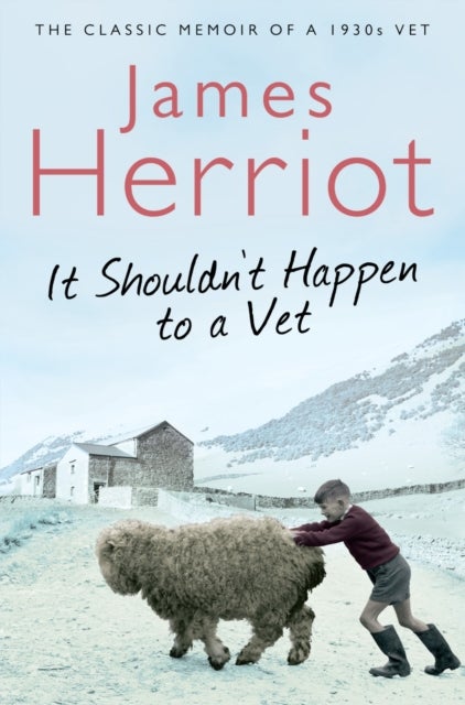 It Shouldn't Happen to a Vet - The Classic Memoir of a 1930s Vet