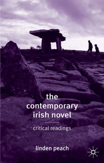 The Contemporary Irish Novel - Critical Readings