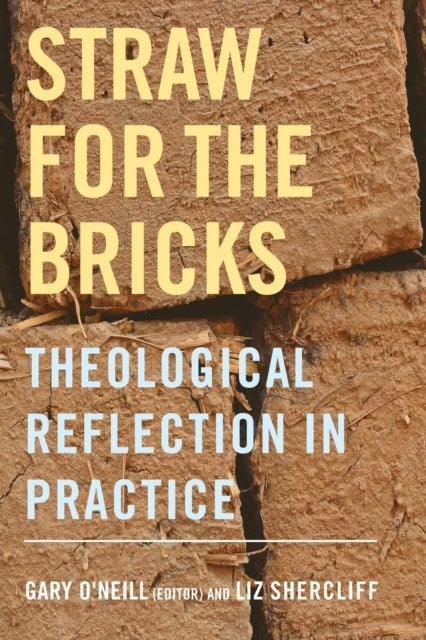 Straw for the Bricks - Theological Reflection in Practice