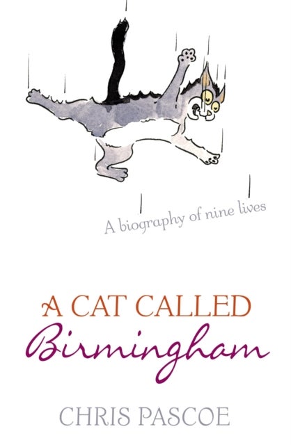 Bilde av A Cat Called Birmingham Av Chris Pascoe
