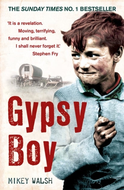 Gypsy Boy - The bestselling memoir of a Romany childhood