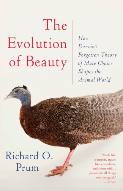 Evolution of Beauty - How Darwin's Forgotten Theory of Mate Choice Shapes the Animal World - and Us