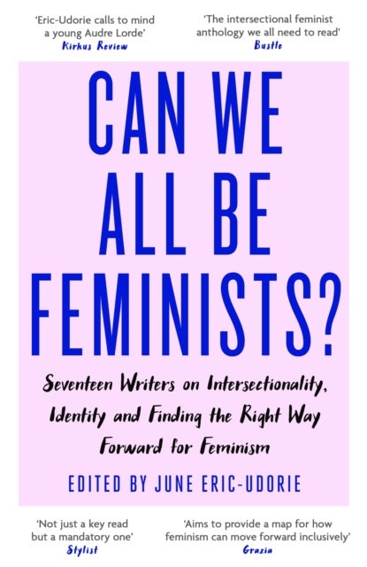 Can We All Be Feminists? - Seventeen writers on intersectionality, identity and finding the right way forward for feminism
