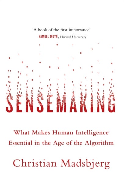 Sensemaking - What Makes Human Intelligence Essential in the Age of the Algorithm