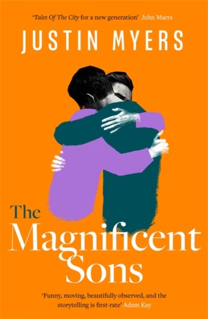 The Magnificent Sons - a coming-of-age novel full of heart, humour and unforgettable characters