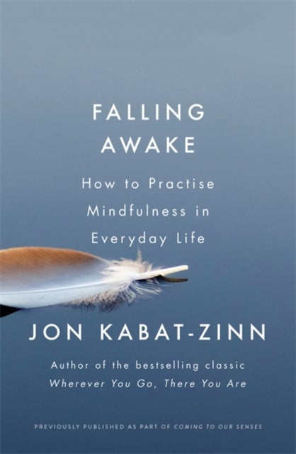 Falling Awake - How to Practice Mindfulness in Everyday Life