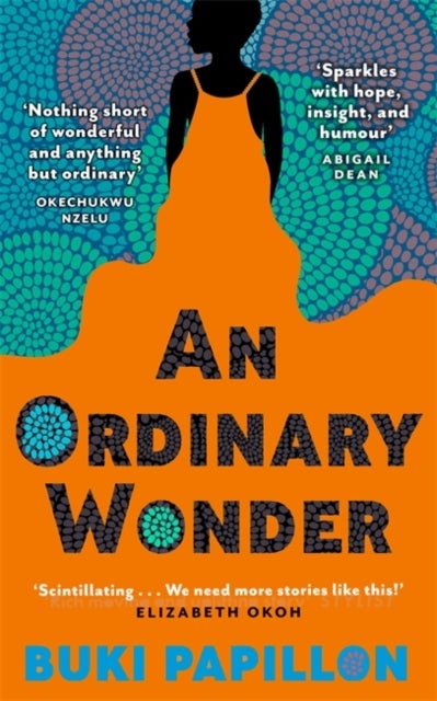 An Ordinary Wonder - Heartbreaking and charming coming-of-age fiction about love, loss and taking chances
