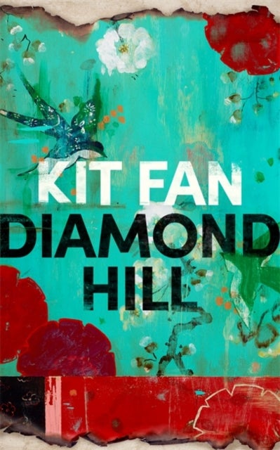 Diamond Hill - Totally unputdownable and evocative literary fiction