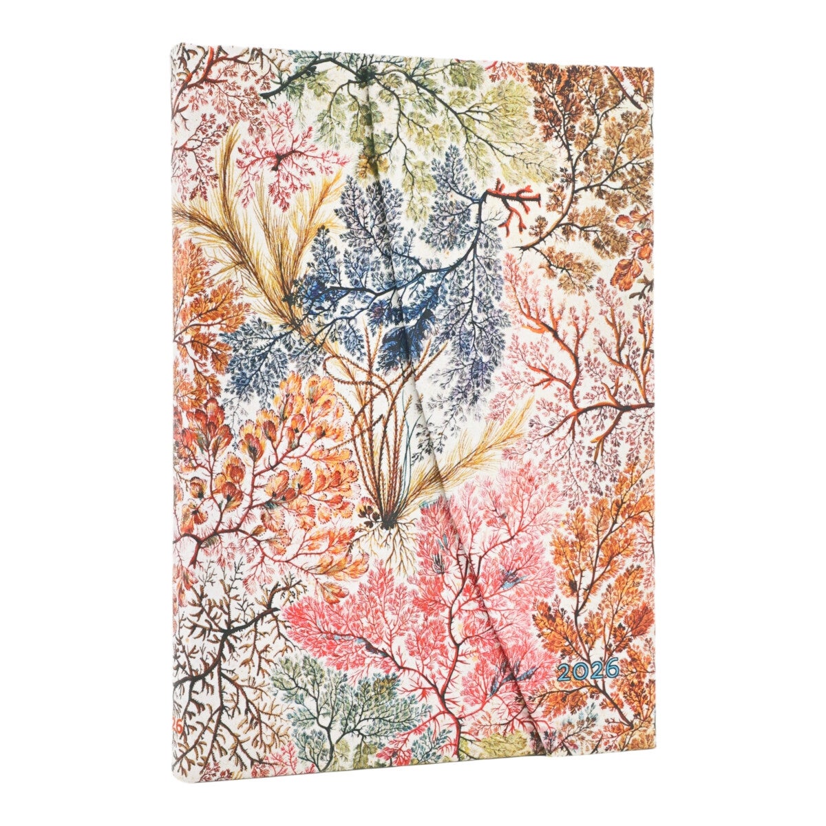 Kalender Paperblanks 2026 12m midi Anemone