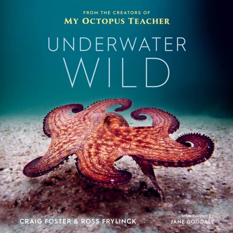 Underwater Wild - My Octopus Teacher's Extraordinary World