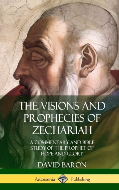 The Visions and Prophecies of Zechariah - A Commentary and Bible Study of the Prophet of Hope and Glory (Hardcover)