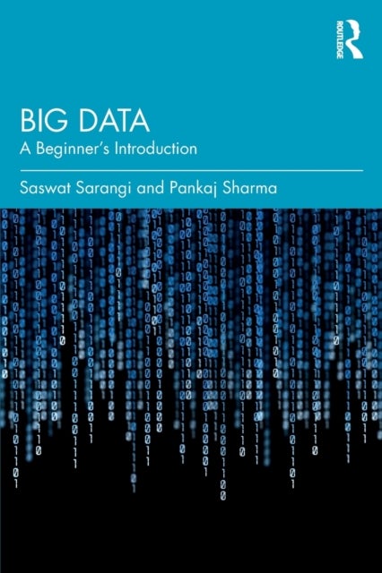 Big Data - A Beginner's Introduction