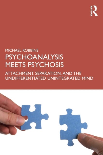 Bilde av Psychoanalysis Meets Psychosis Av Michael (boston Psychoanalytic Society M Robbins
