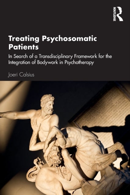 Treating Psychosomatic Patients - In Search of a Transdisciplinary Framework for the Integration of Bodywork in Psychotherapy