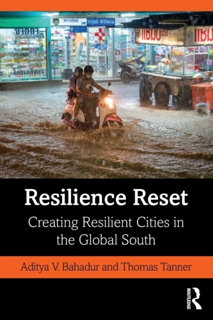 Resilience Reset - Creating Resilient Cities in the Global South